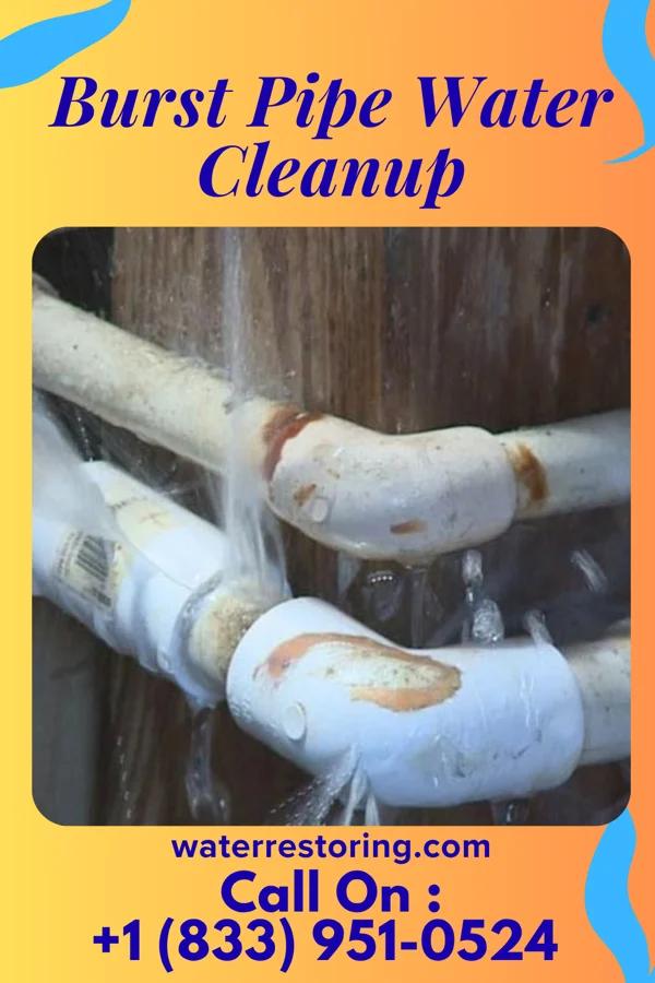 Burst Pipe Water Cleanup in Nellie, OH