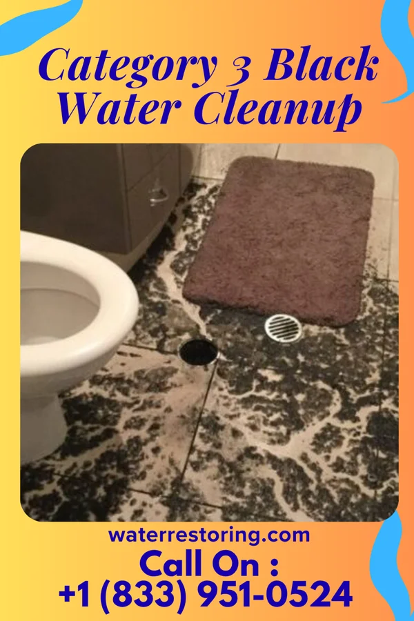 Category 3 Black Water Cleanup in Nellie, OH