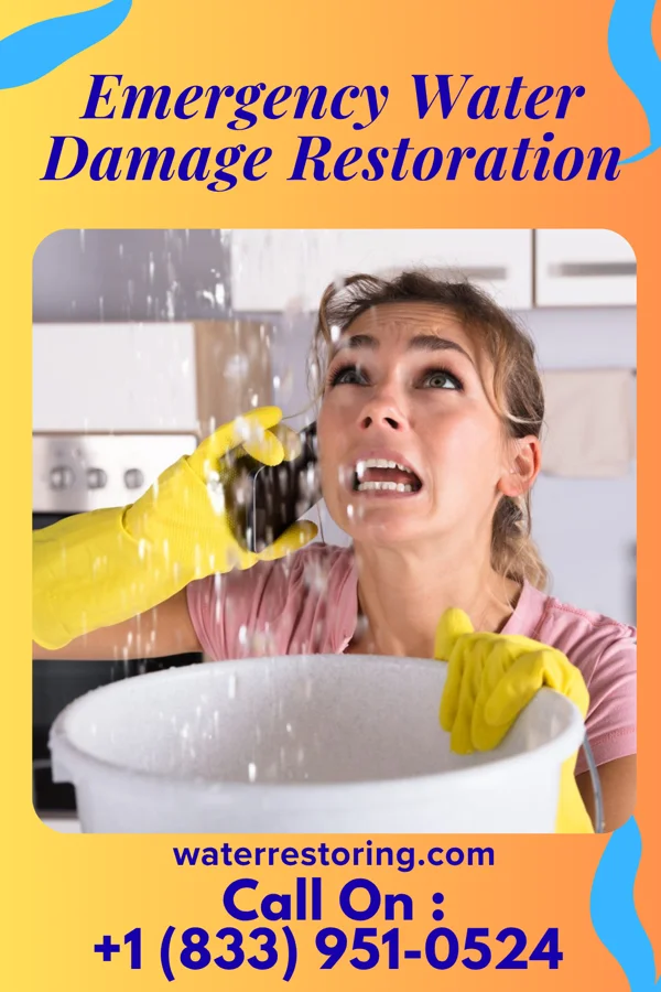 Emergency Water Damage Restoration in Nellie, OH