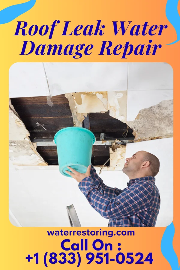 Roof Leak Water Damage Repair in Nellie, OH