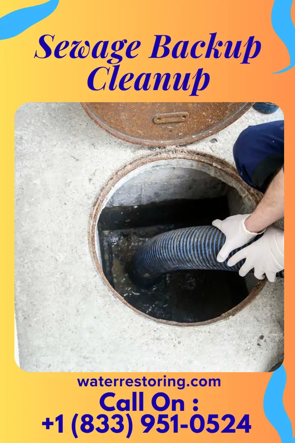 Sewage Backup Cleanup in Nellie, OH
