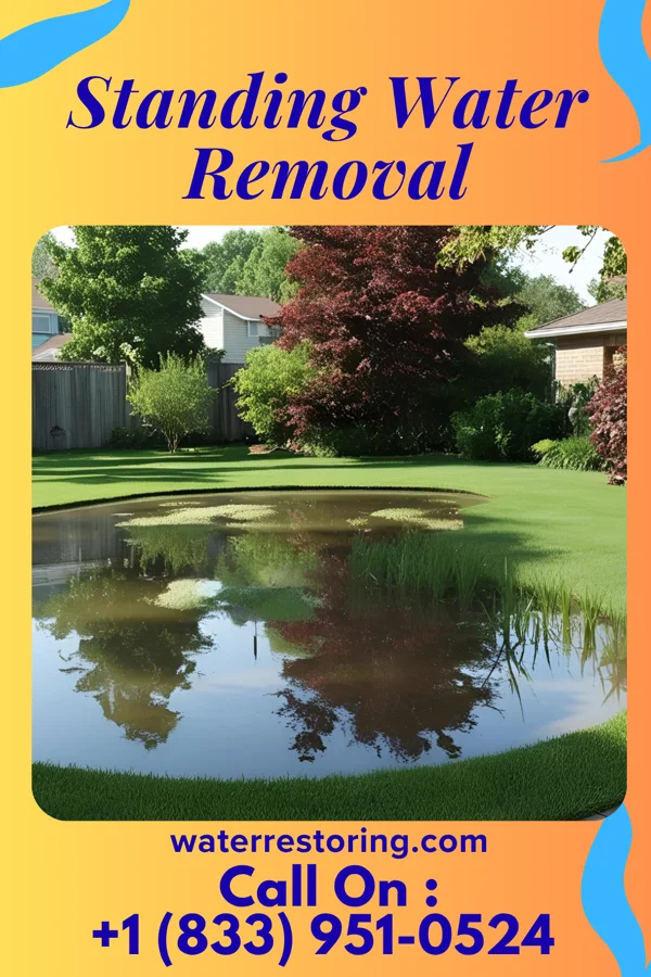 Standing Water Removal in Nellie, OH